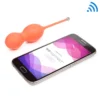 We-Vibe Bloom - Boules De Geisha Connectées -Joujou 13606