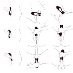 Sextoy Pour Couple Doppio Bleu - BeauMents -Joujou 14123