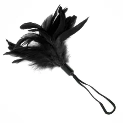 Plumes BDSM à Chatouiller Pleasure Feather Noir - Sportsheets