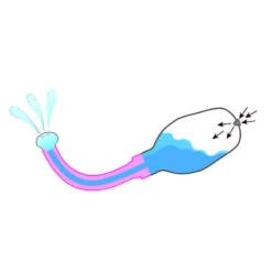 Poire à Lavement Rectale Ergoflo Extra – Perfect Fit -Joujou 5216